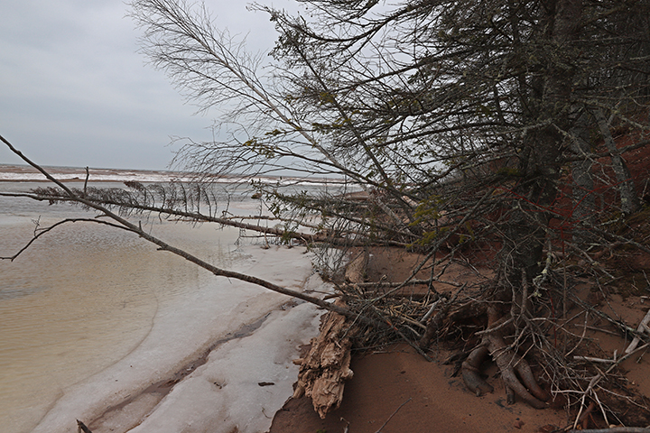 Beach at Jack Pine Drive.